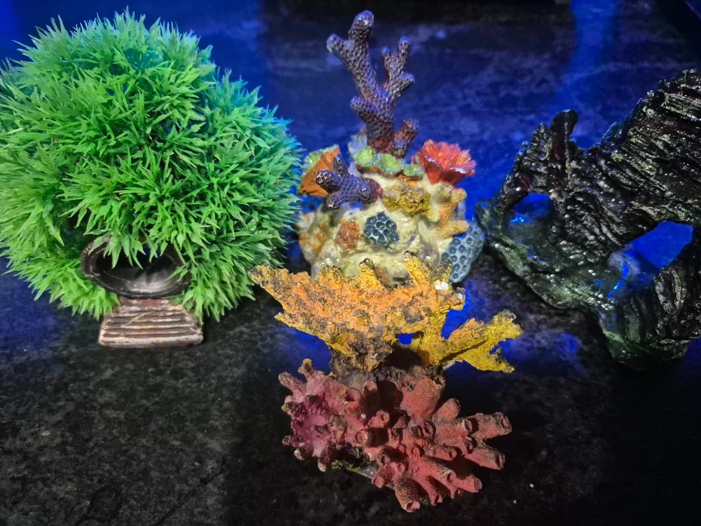 Aquarium decor image indicator(2)