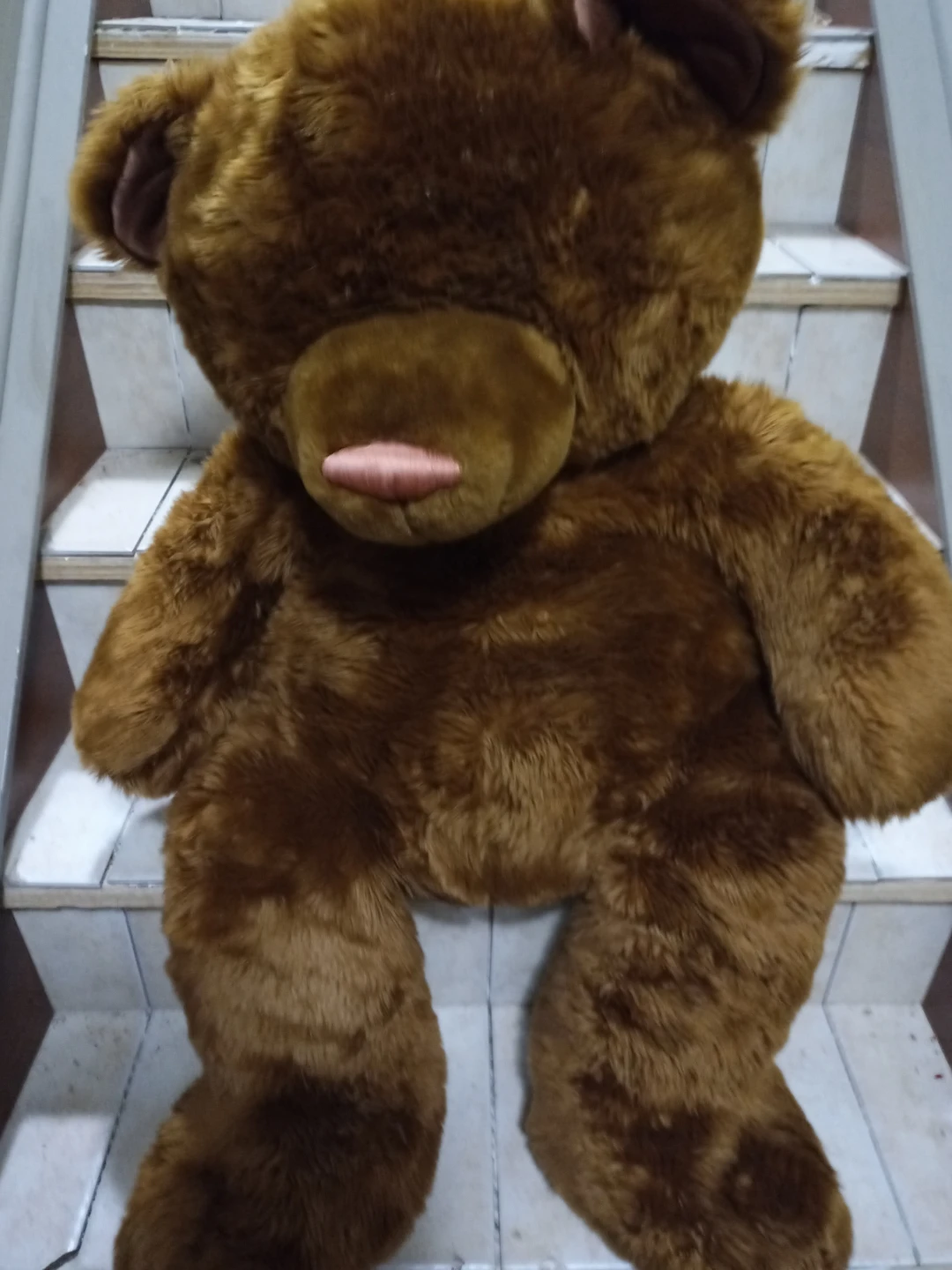 Brown Teddy Bear