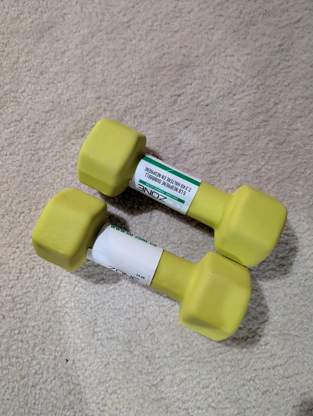 5 LB Dumbbells
