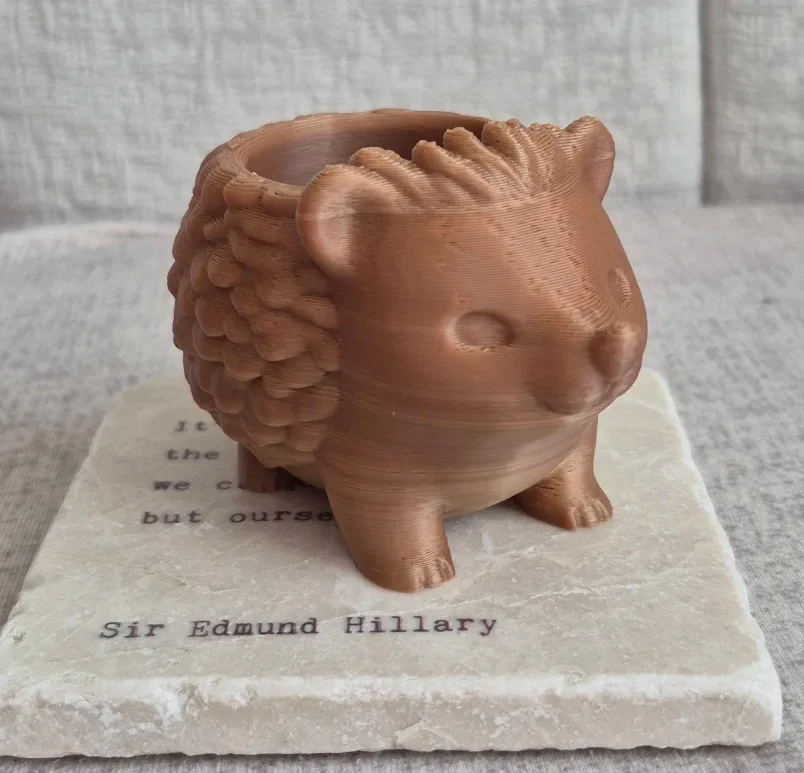 Cute Hedgehog Ready to Paint Planter