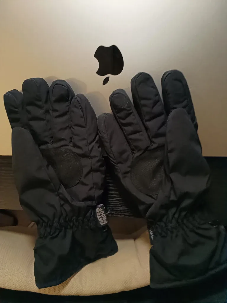 Champion WaterProof Gloves