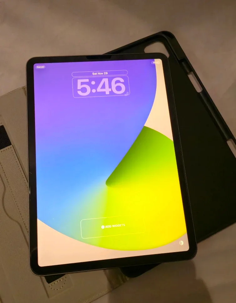 iPad Pro 11-inch (2nd Gen) 256GB