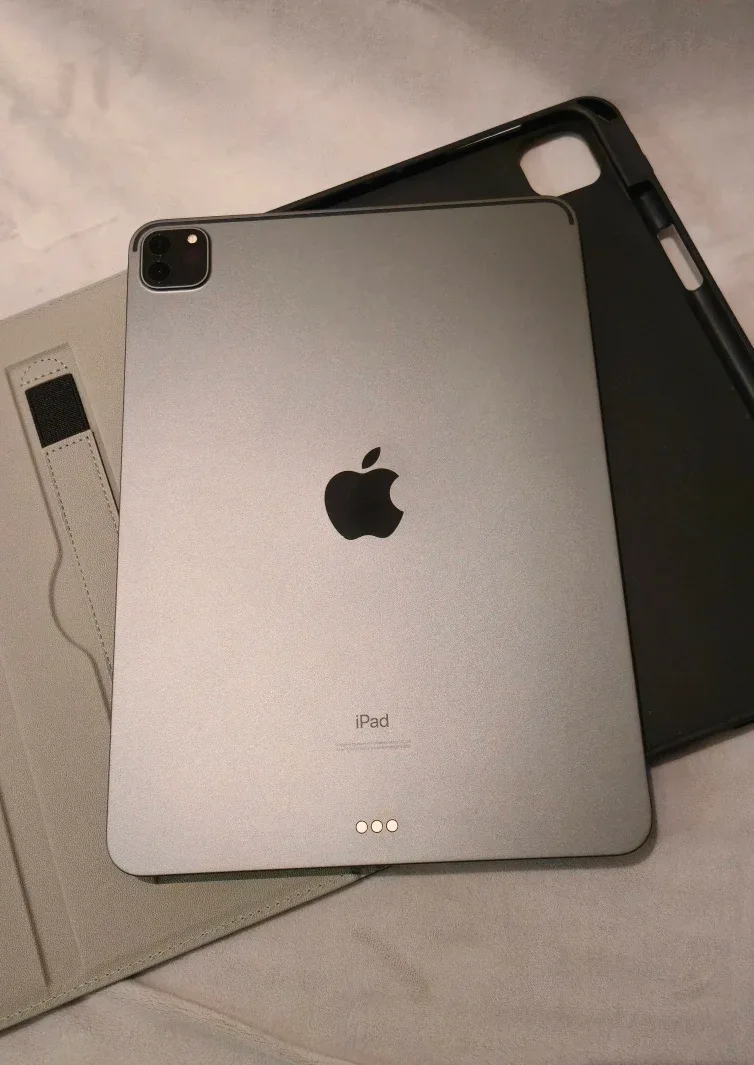 iPad Pro 11-inch (2nd Gen) 256GB - PRICE FIRM image indicator(2)