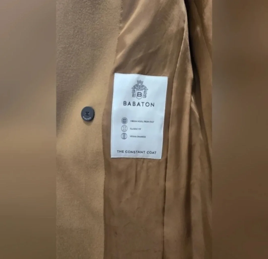 Aritzia Babaton The Constant Coat - Virgin Wool image indicator(10)