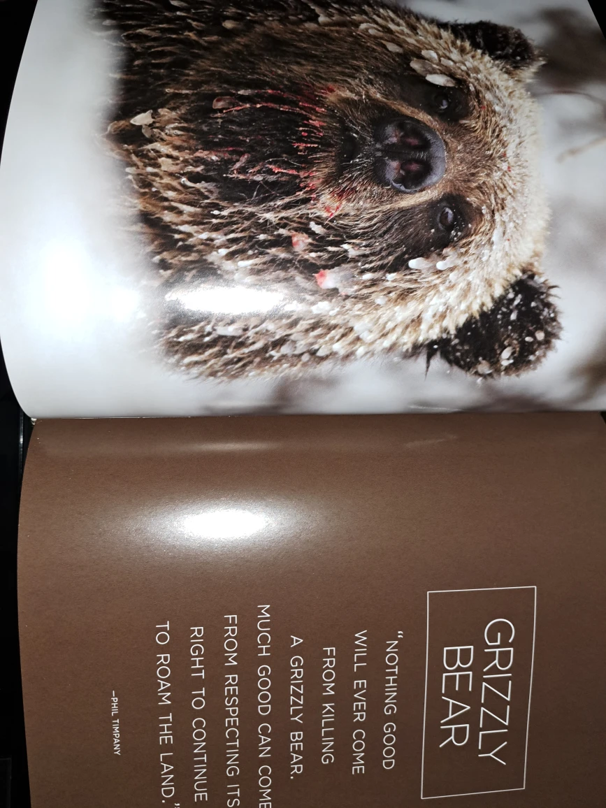 National Geographic,Bear,  Spirit of the Wild - photo 4