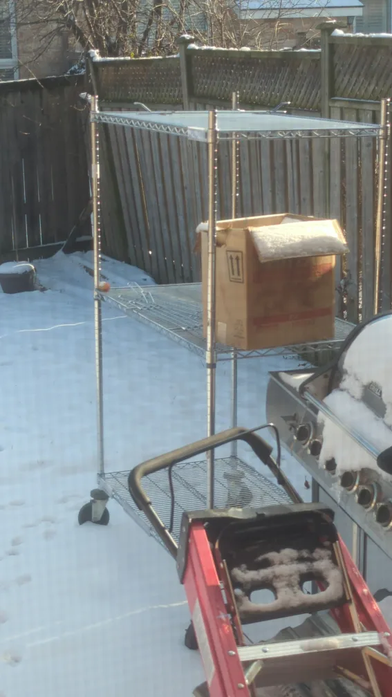 Metal Shelving Unit on Wheels