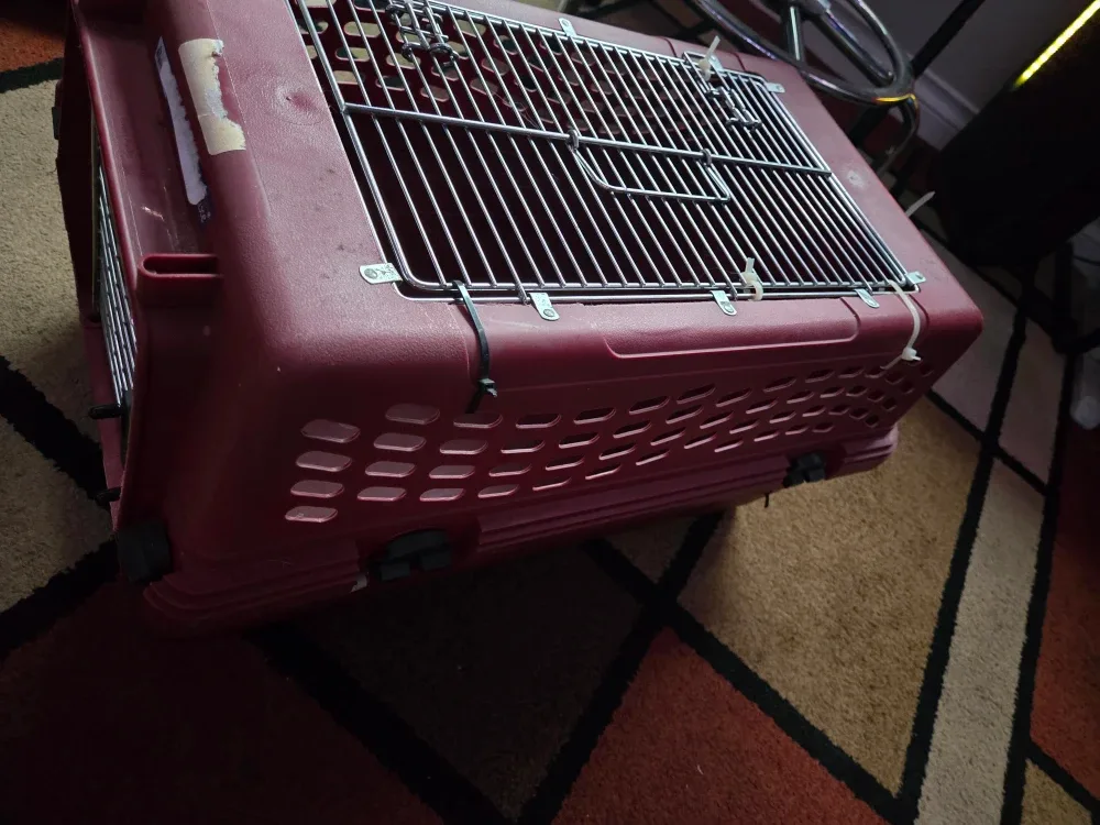 Petmate Deluxe two door Pet Porter image indicator(2)