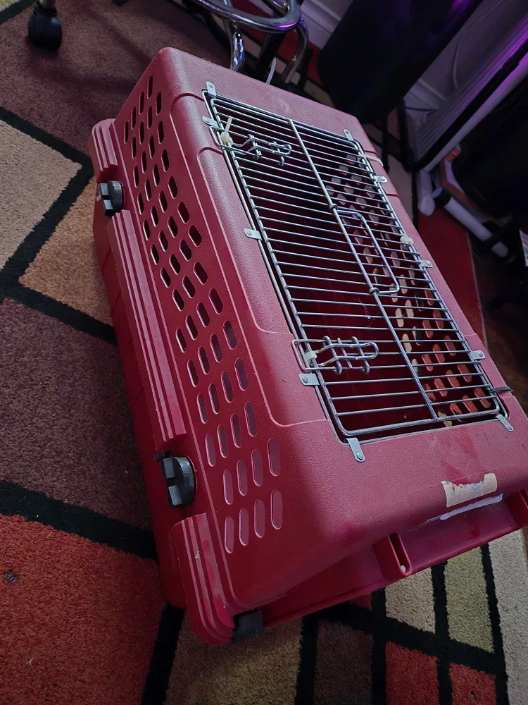 Petmate Deluxe two door Pet Porter image indicator(3)