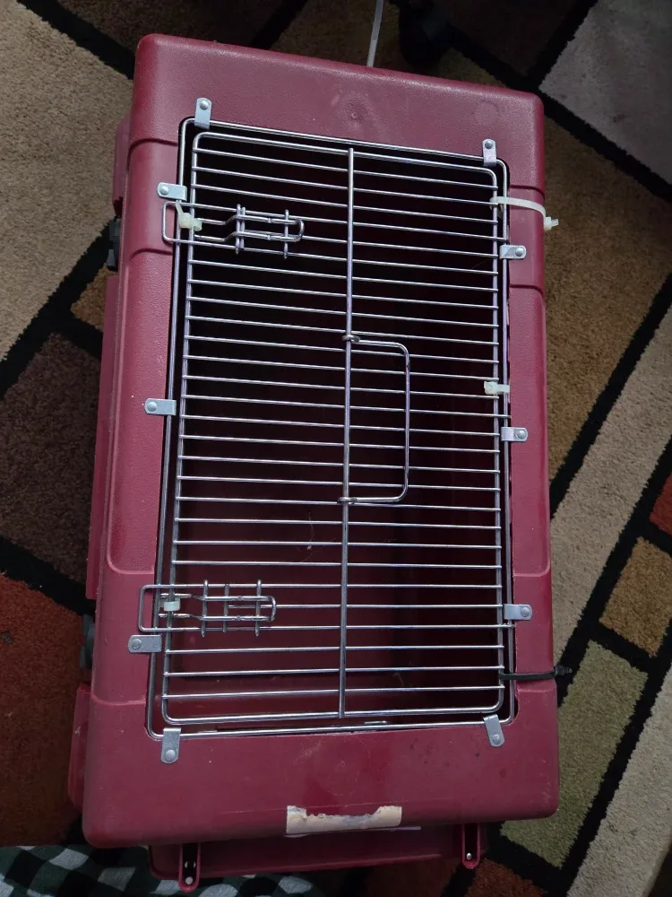 Petmate Deluxe two door Pet Porter image indicator(4)