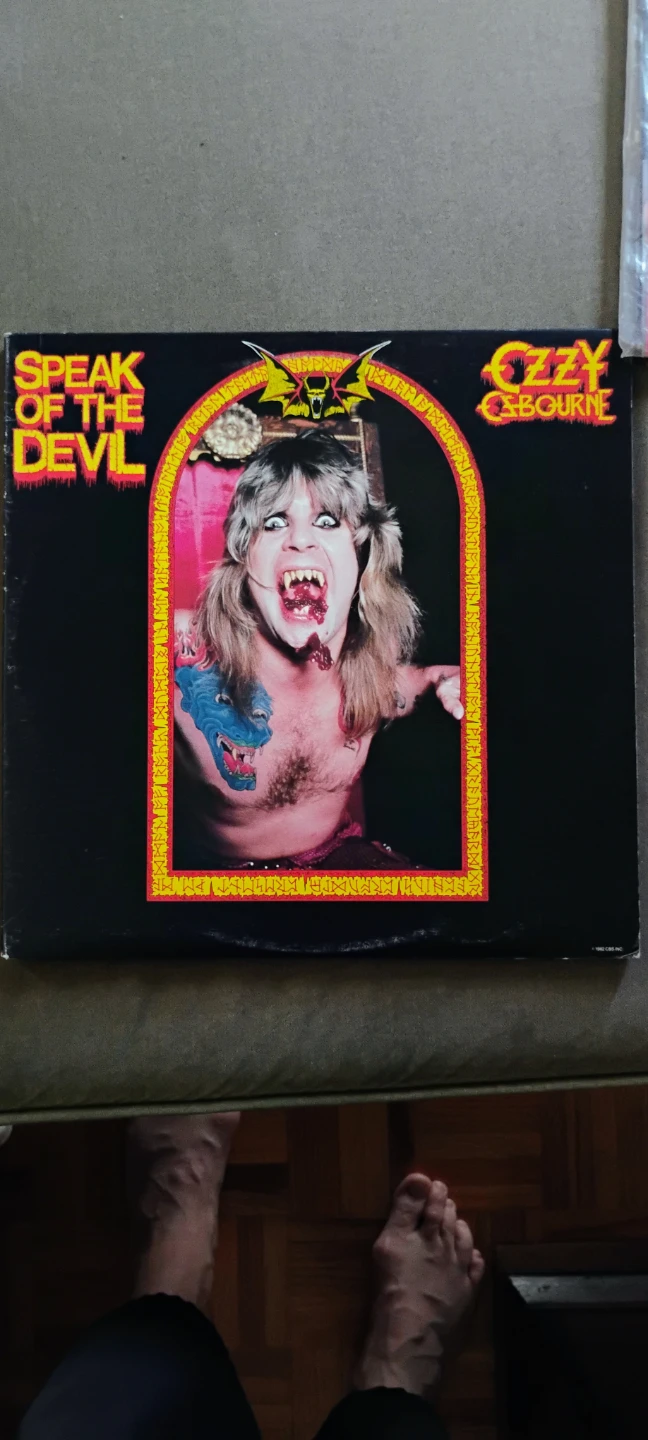 Black Sabbath & Ozzy Osbourne Vinyl Records Collection - photo 3