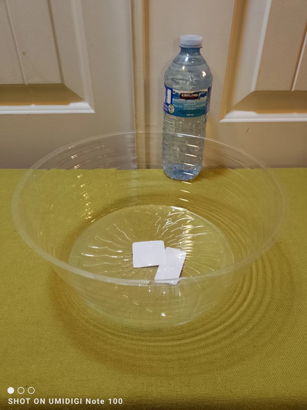 🎍🌺 🆕 Plastec 10" Deeper Plant Saucer 🚨 Retails $2.28+Tx 🎍🌺