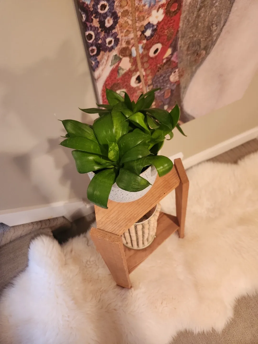 Wooden 2 shelf Plant Stand image indicator(2)