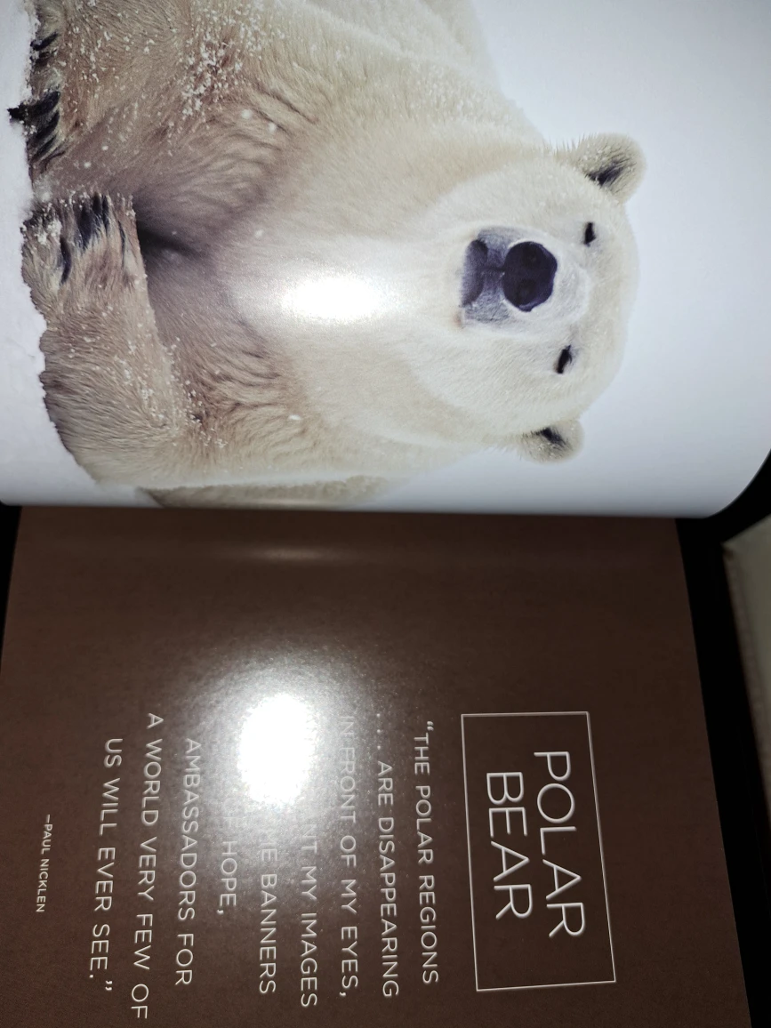National Geographic,Bear,  Spirit of the Wild - photo 2
