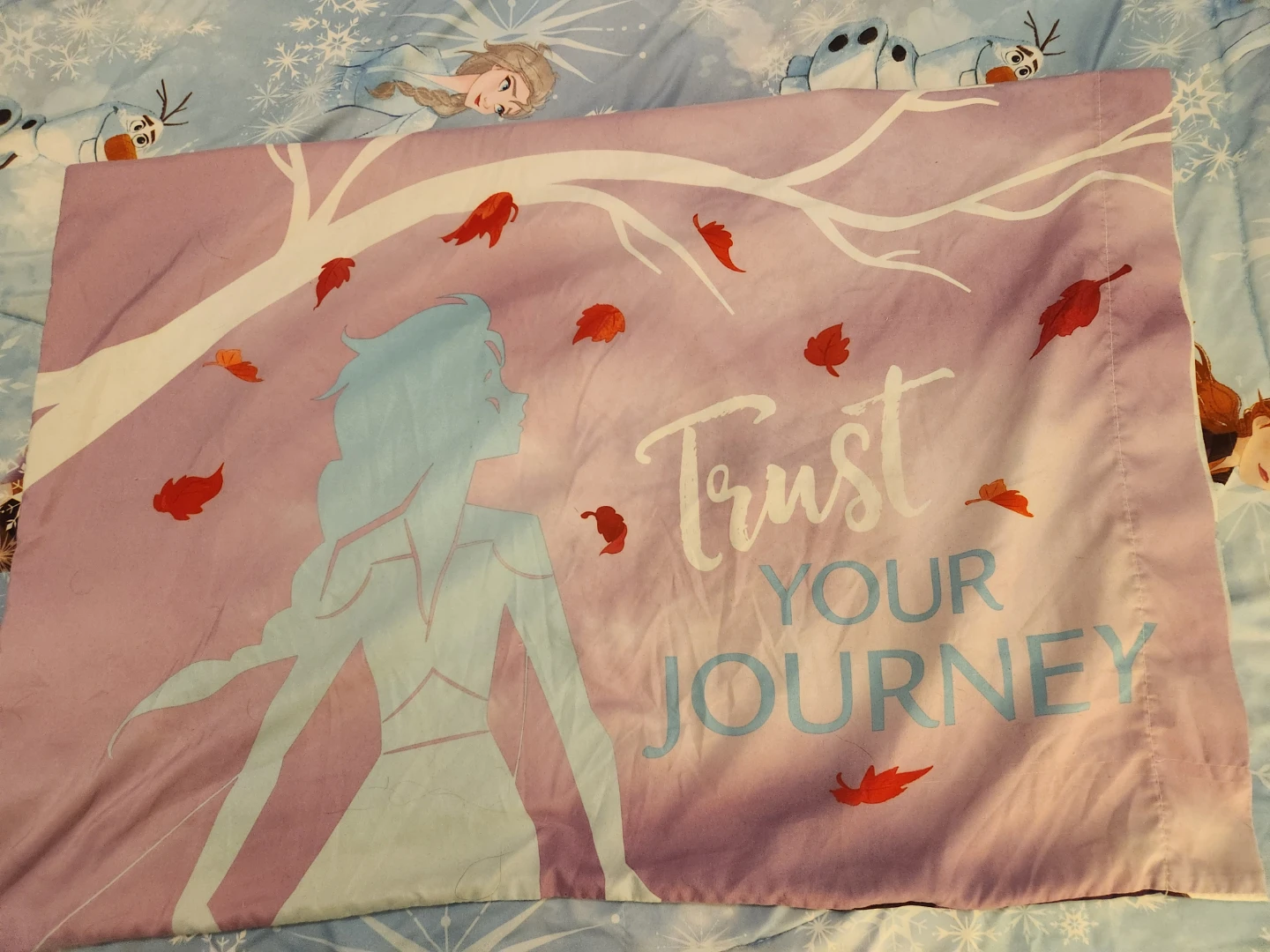 Frozen Bedding Set (twin) - photo 4
