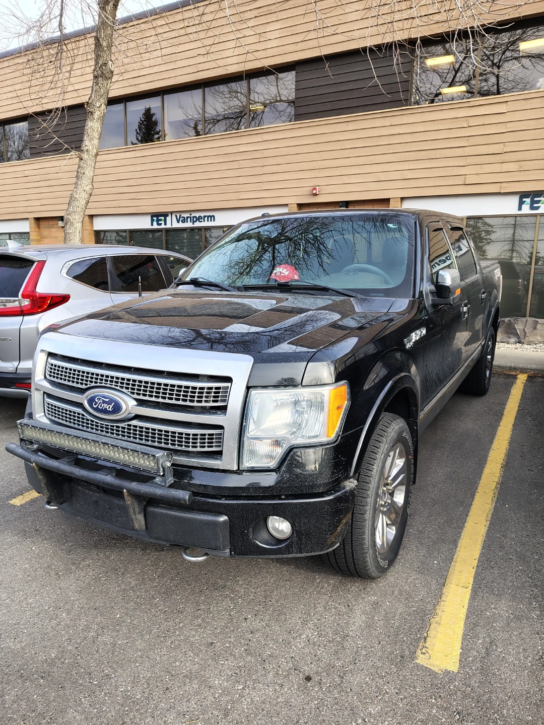 2010 Ford F-150 "Platinum" - photo 2