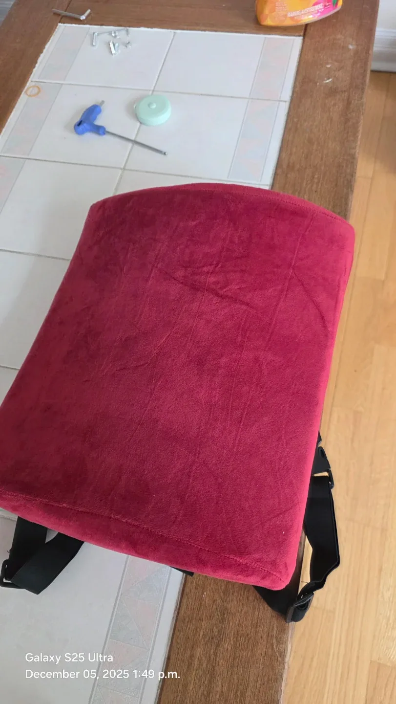 FORTEM Red Velour Lumbar Support Cushion