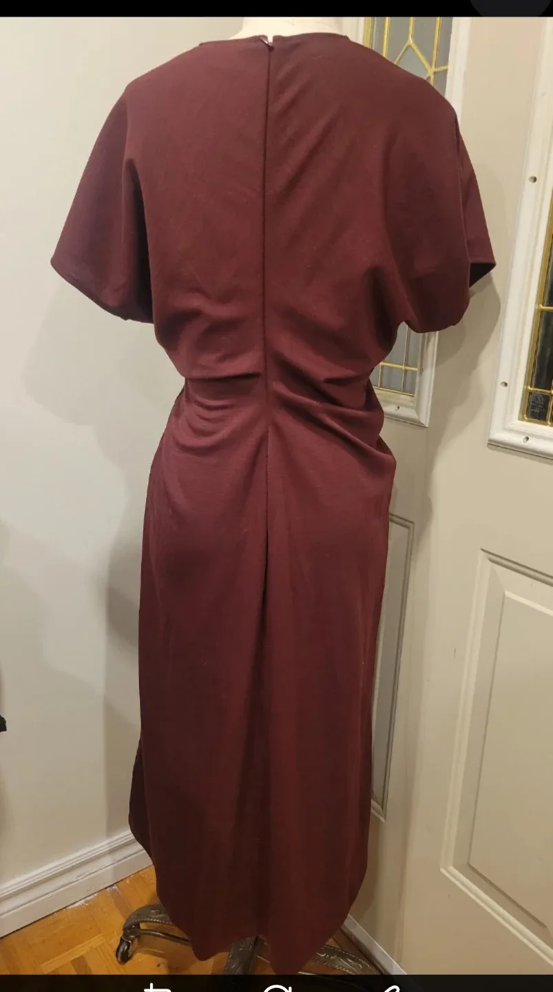 Banana Republic small dress image indicator(2)