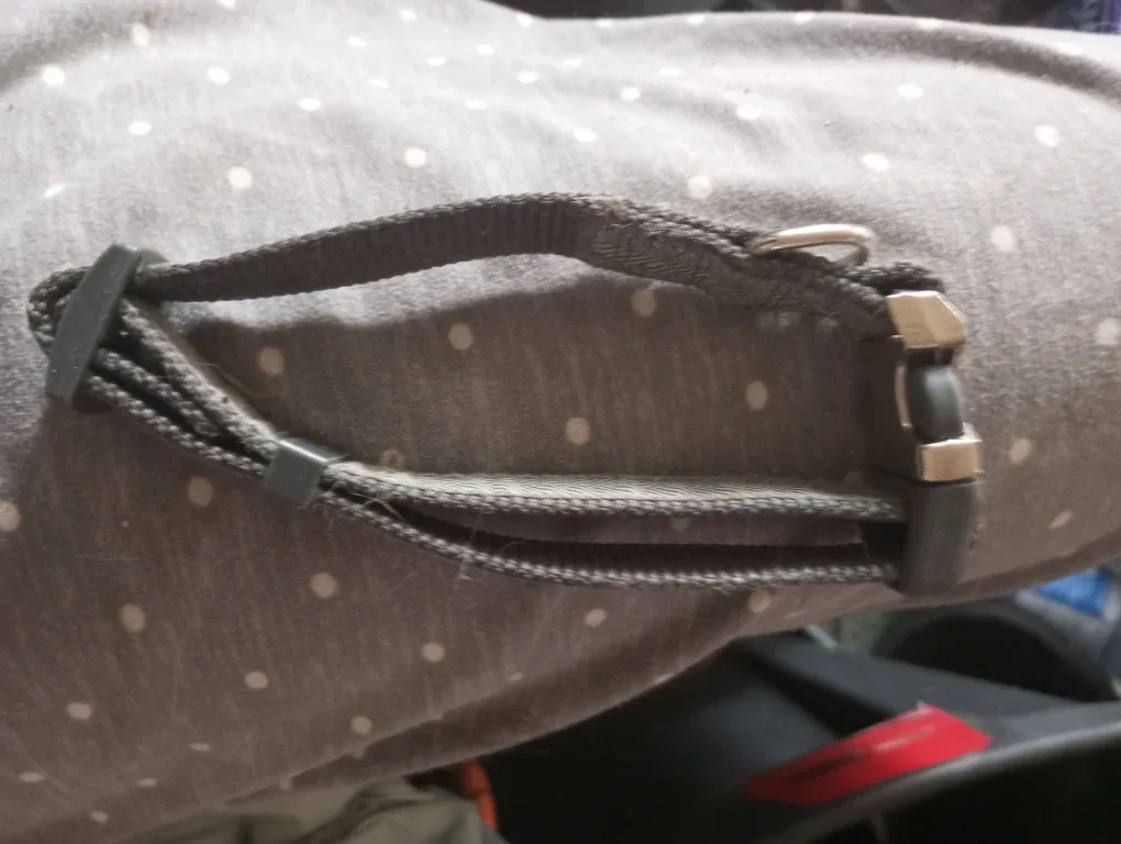 Dog Collars - Blue, Grey image indicator(4)