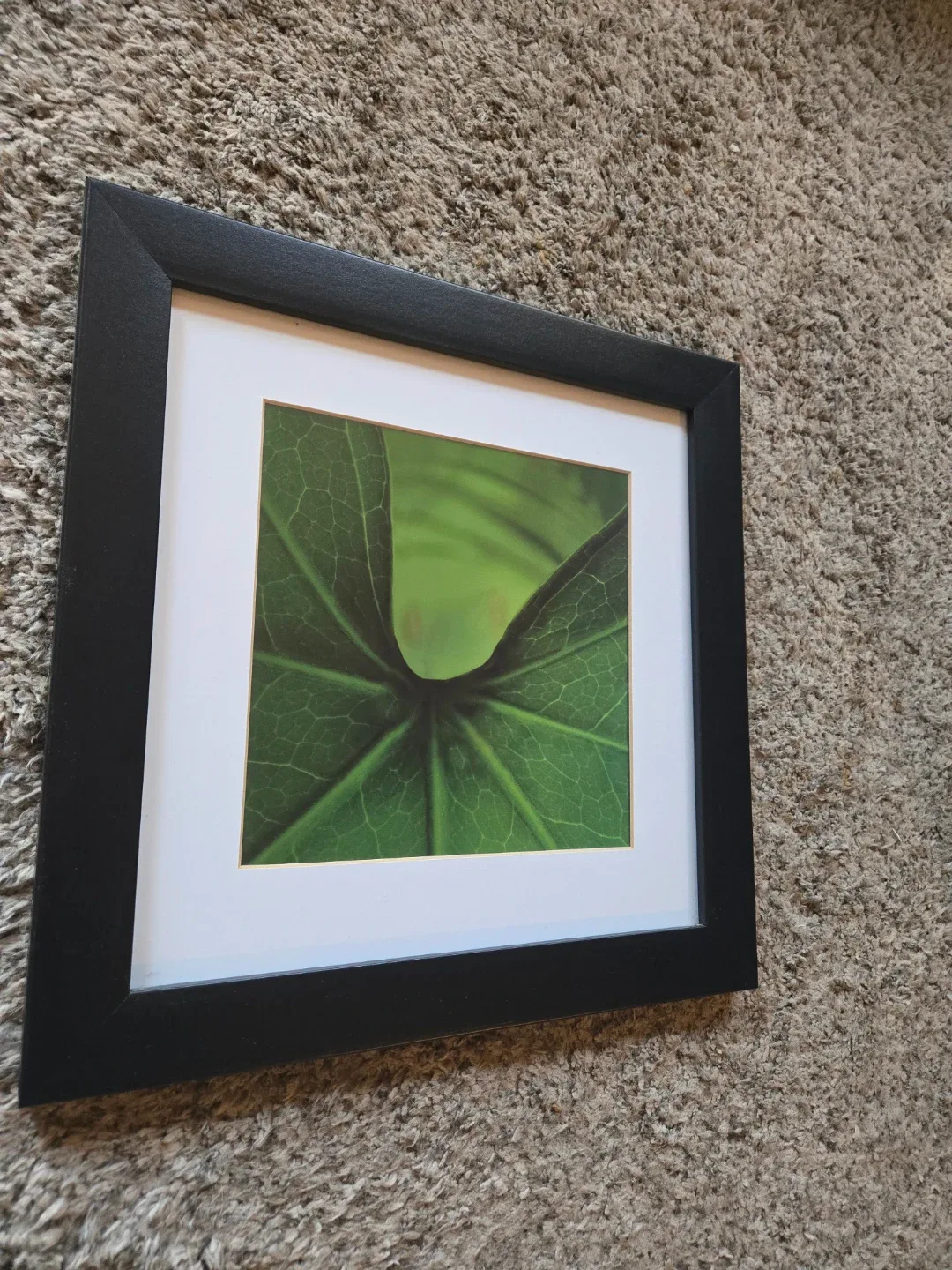 Framed Prints - Frog & Lighthouse image indicator(5)