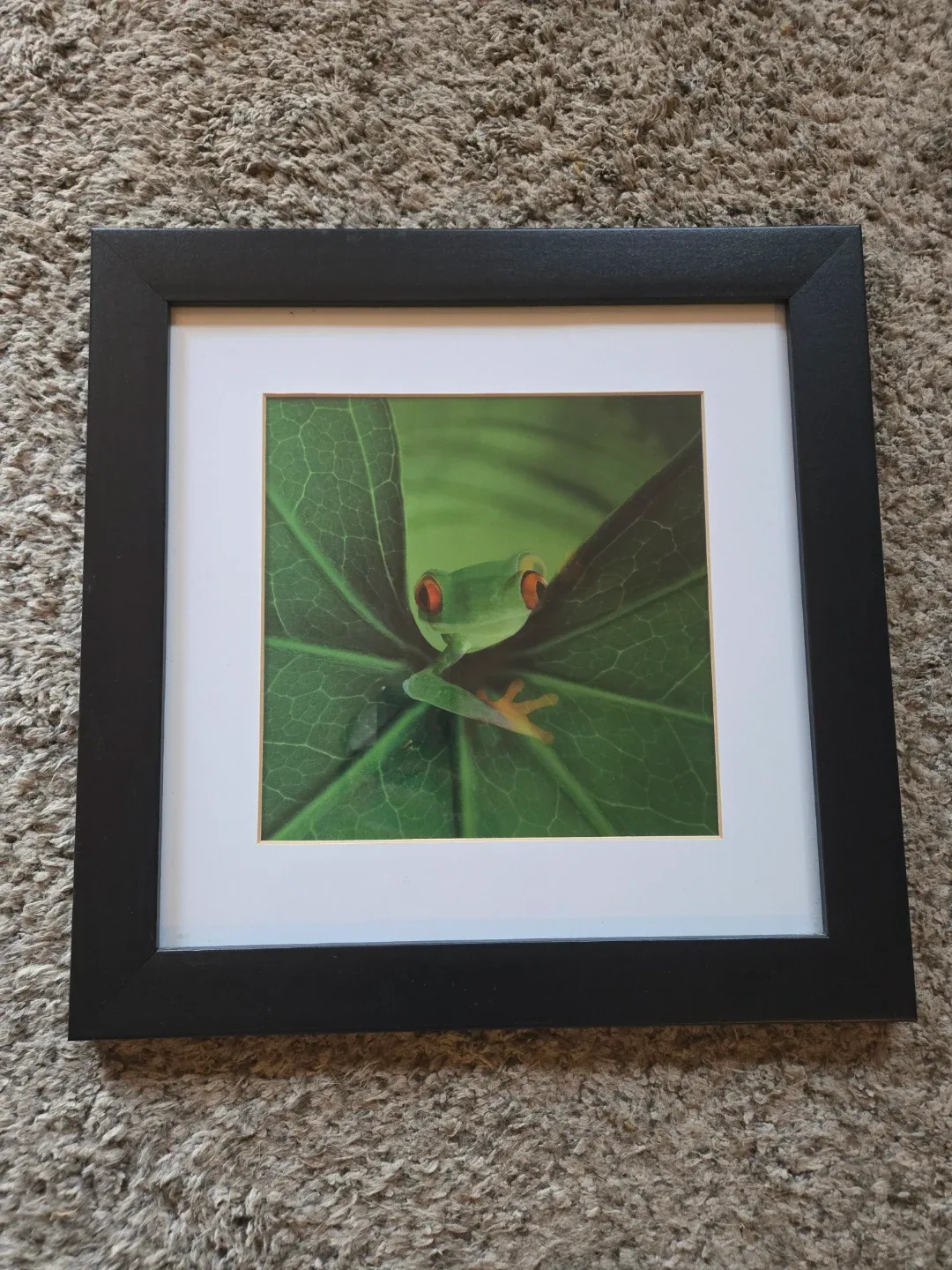 Framed Prints - Frog & Lighthouse image indicator(6)