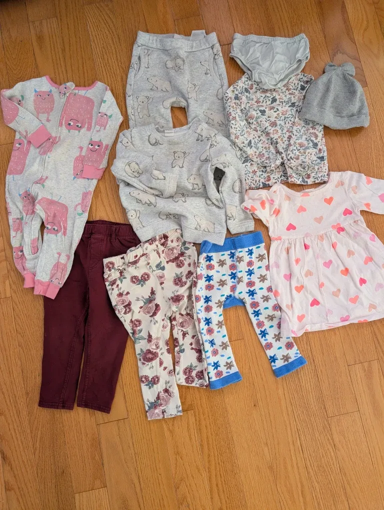 Baby Girl Clothes Bundle 12-18 months