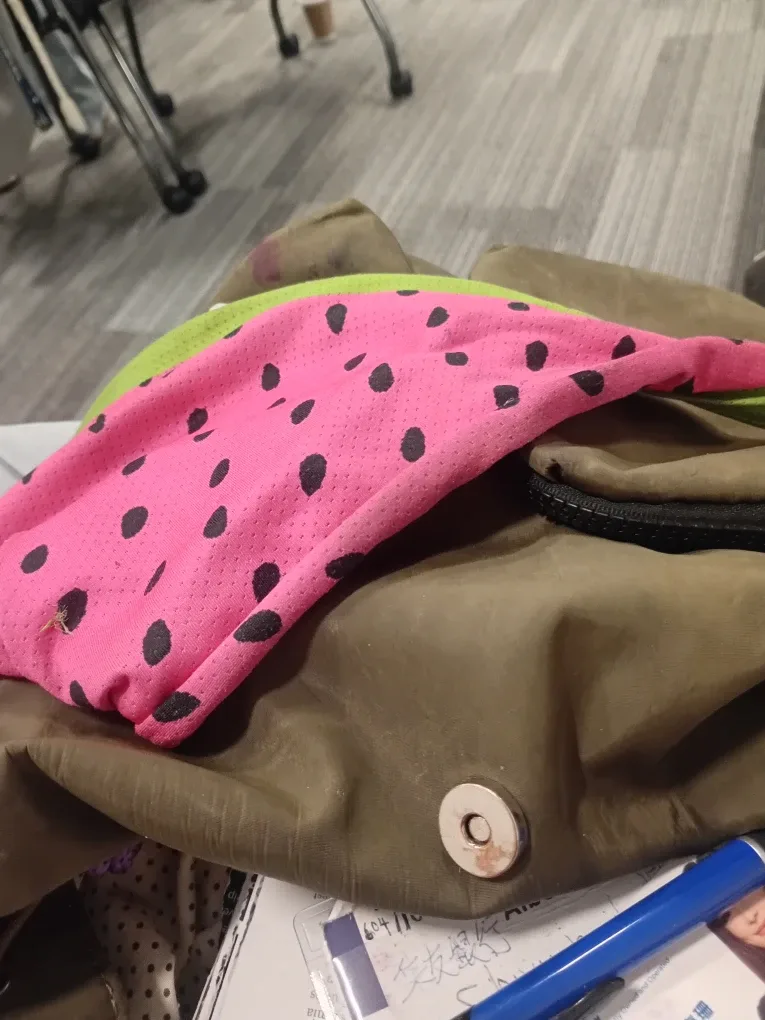 Watermelon Print Bag