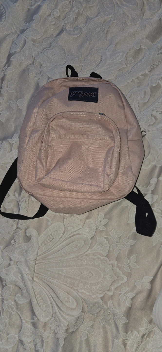 JanSport Pink Mini Backpack and Black Cat Mini Backpack