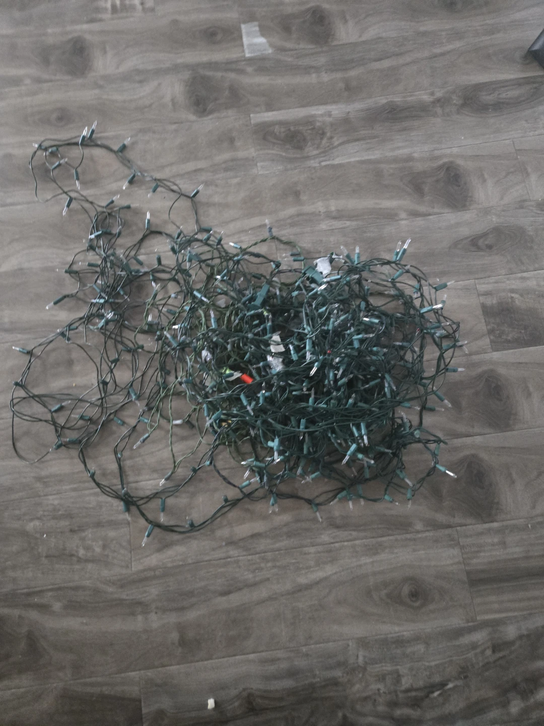 Decorative Lighting String - photo 3