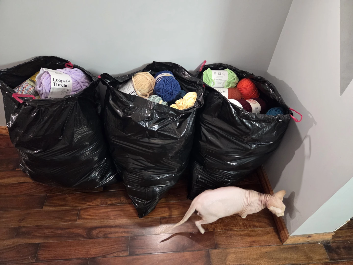 Yarn Lot - Bernat, Loops & Threads