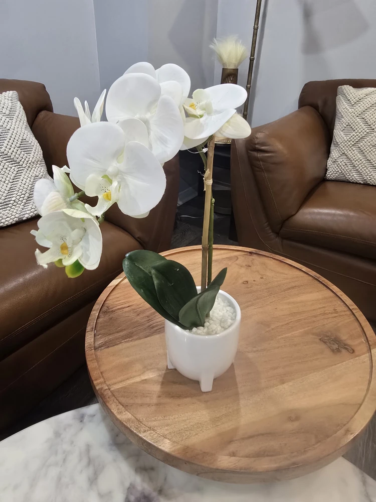 Artificial White Orchid in Pot