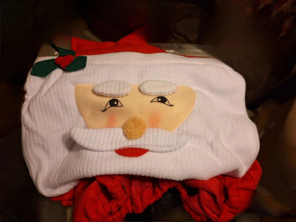 3 pc Santa Decor Set (Kit Cat Club rescue)