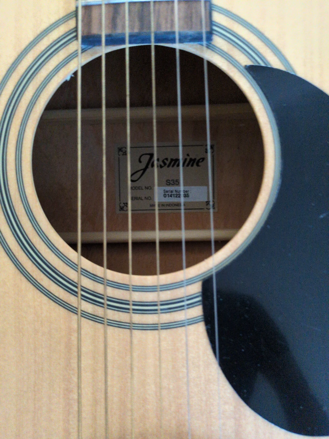 Jasmine S35 Acoustic Guitar with Case & Accessories - photo 3