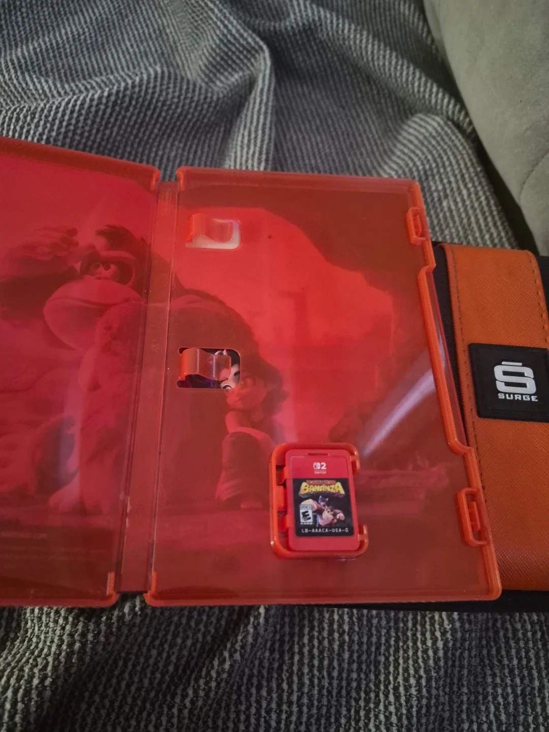 Donkey Kong Bananza image indicator(2)