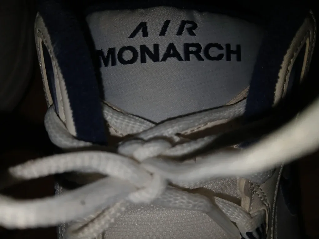 Jordans air monarch like new image indicator(4)