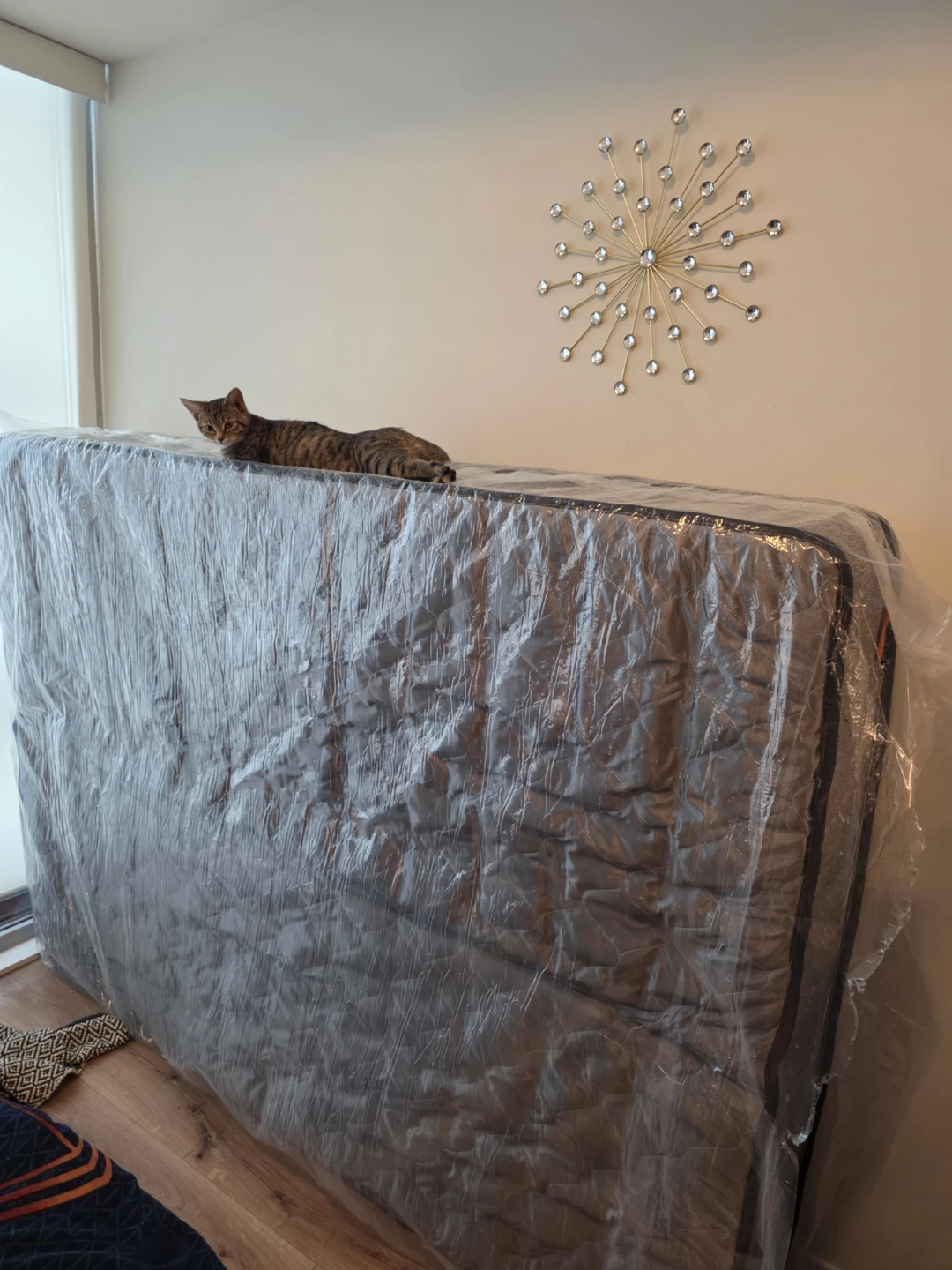 Queen size 12 inch Mattress for sale