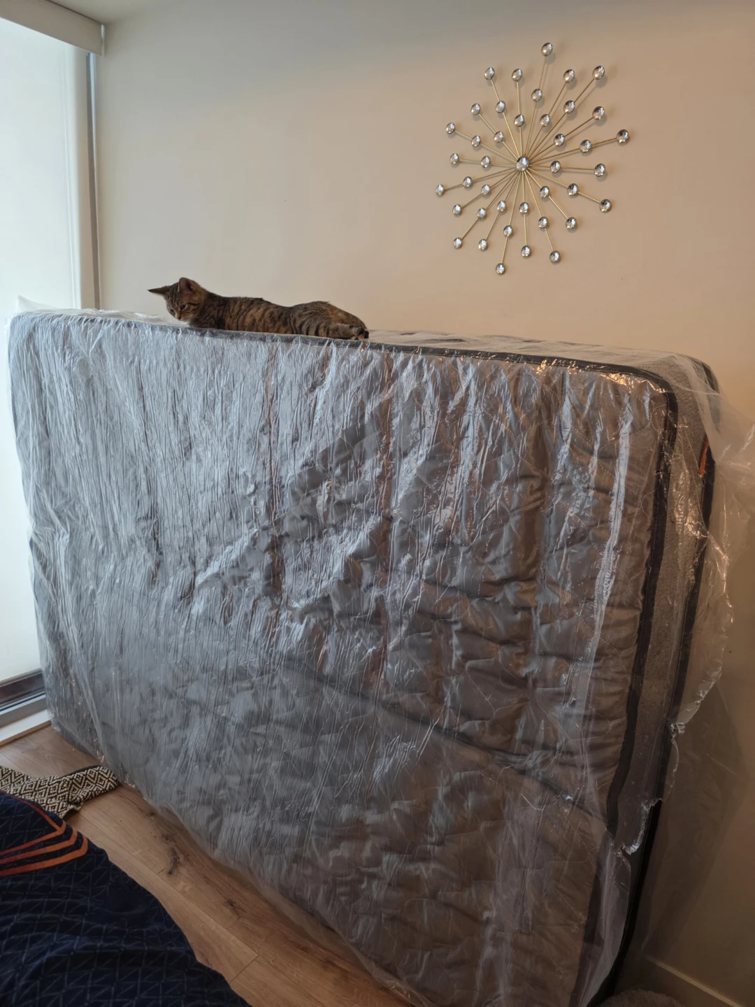 Queen size 12 inch Mattress for sale - photo 2