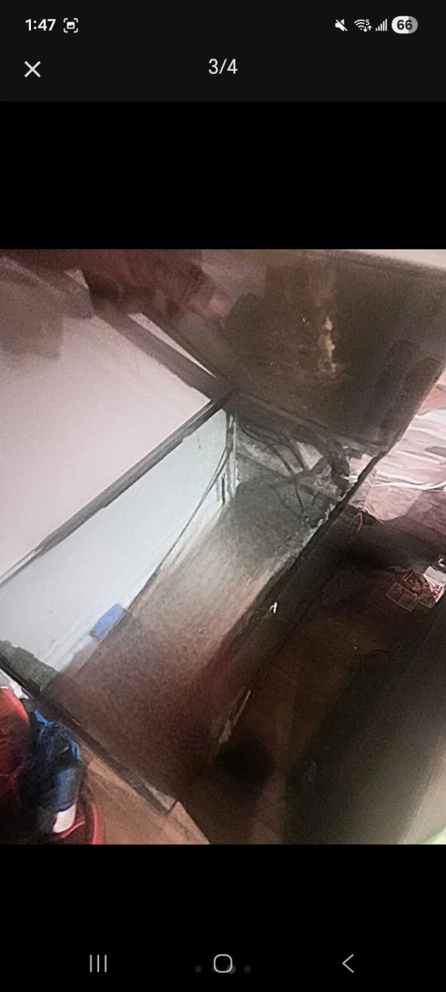Reptile tank
