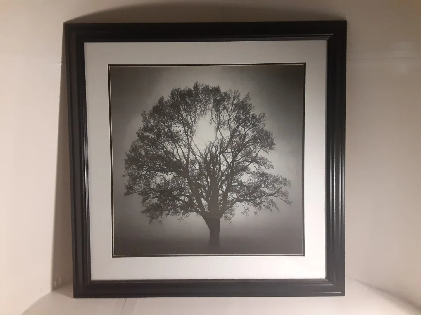 Black & White Tree Photograph | Framed Art Print - 26" x 26"