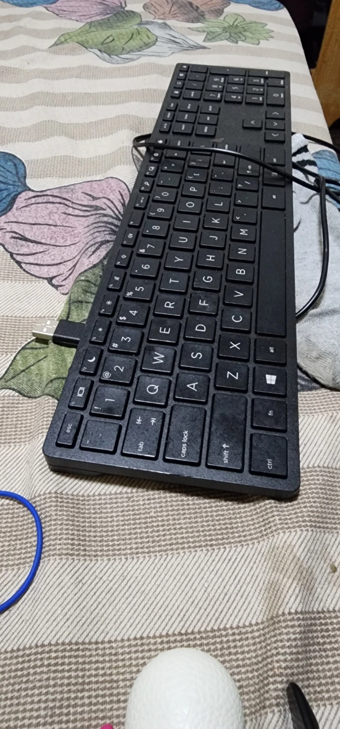 HP Wired Keyboard - Black