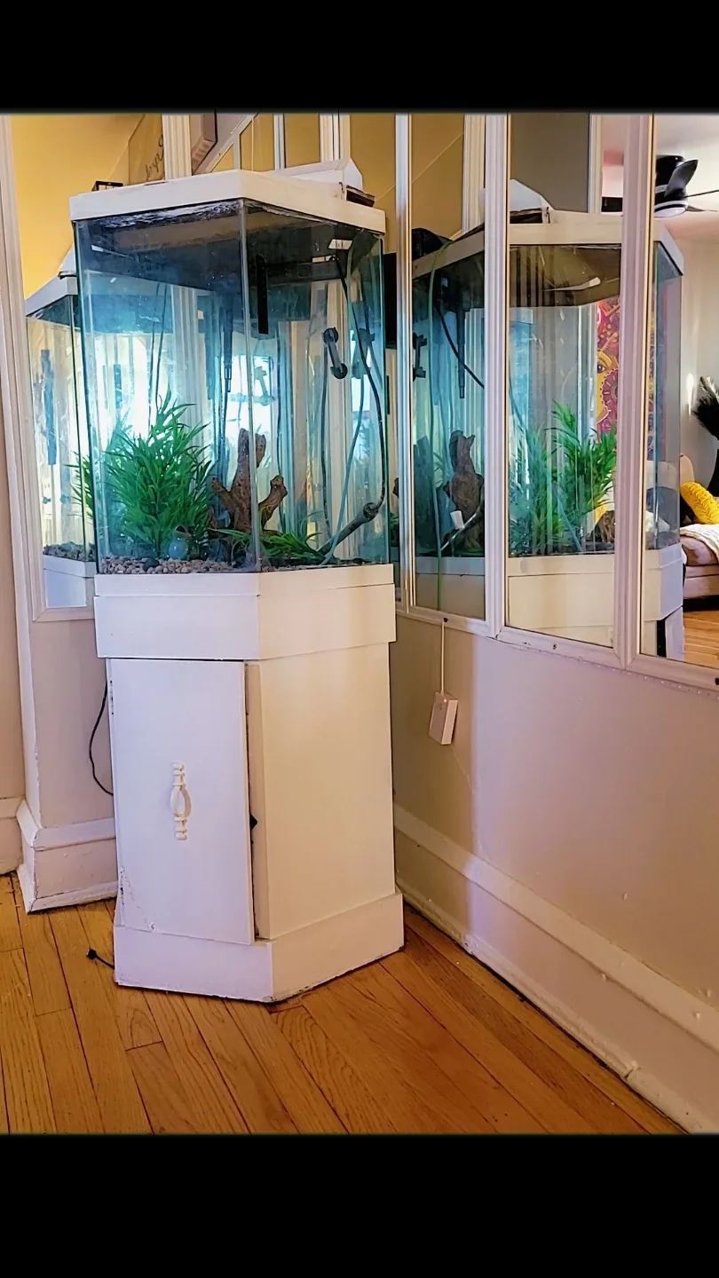 Corner Fish Tank with Stand