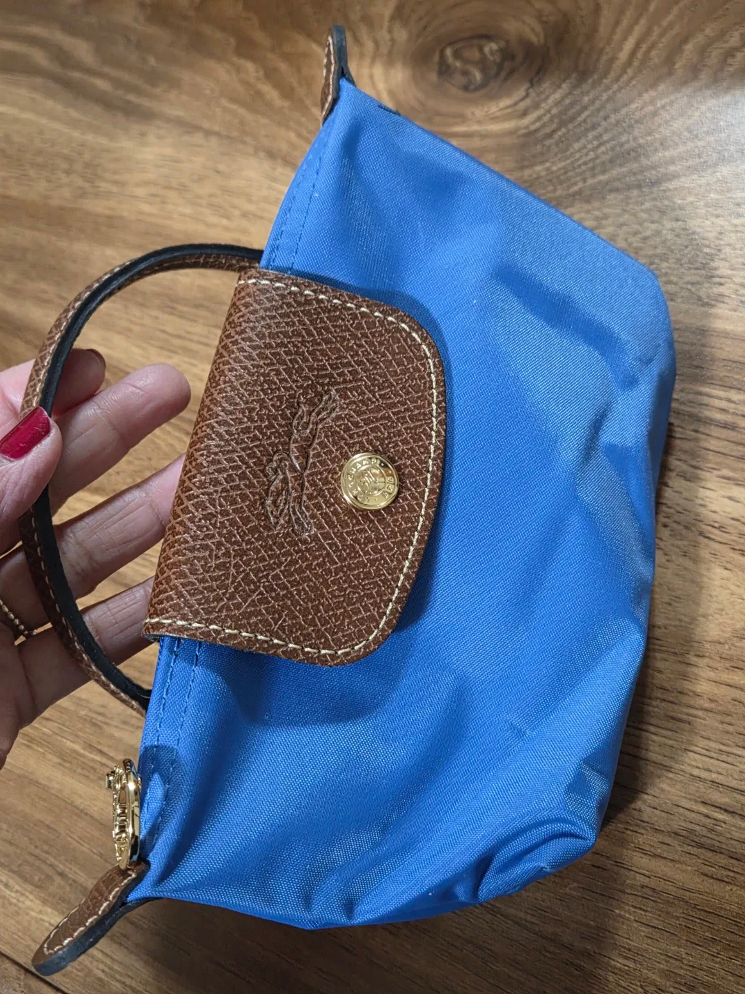 Longchamp Pouch Blue