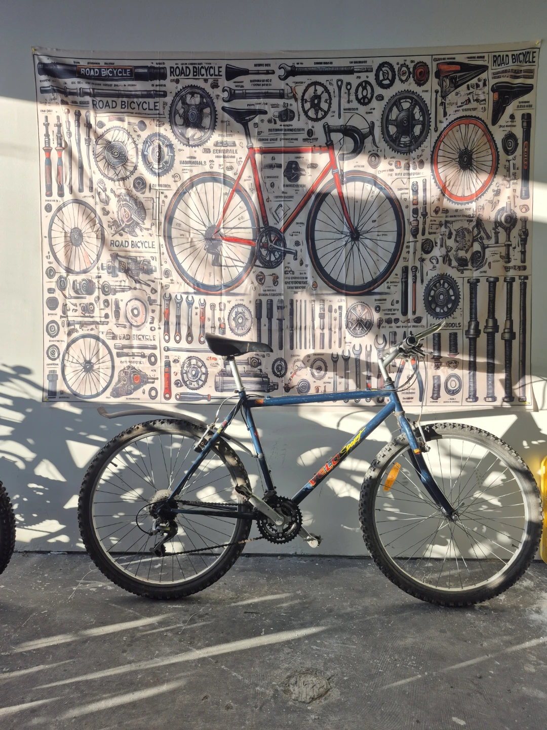 Velo Sport Bicycle - Blue