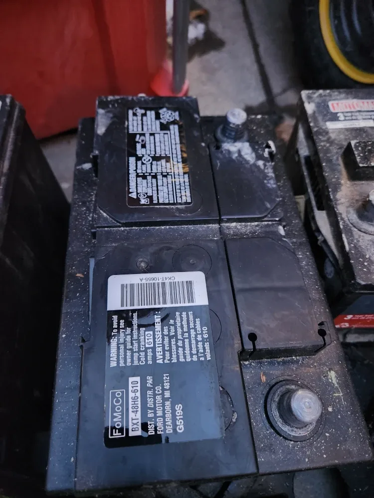 Motomaster OEPlus Automotive Battery image indicator(4)