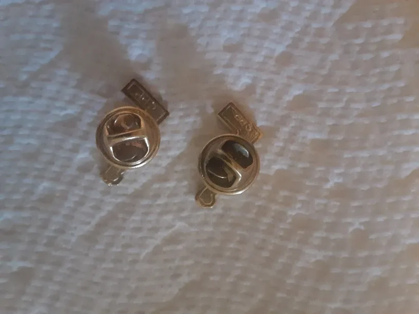 The Bay Lapel Pins #cleanout image indicator(2)