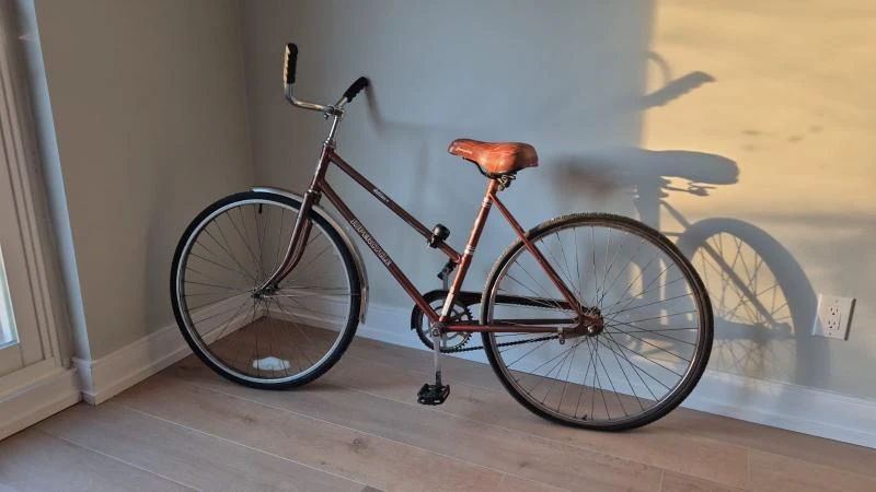 Vintage Brown Bike