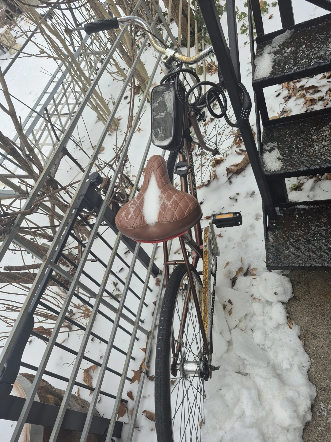 Vintage Brown Bike - photo 4