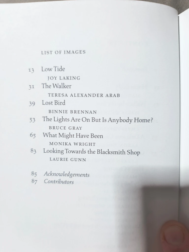 Echoes of Elizabeth Bishop (2011) paperback - photo 5