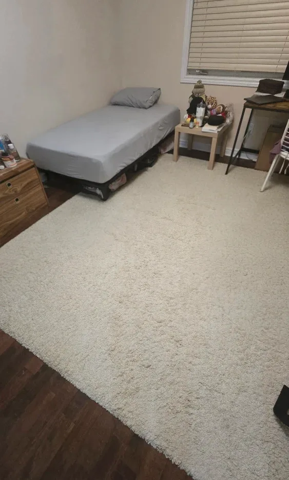 Beige/white Shag Rug