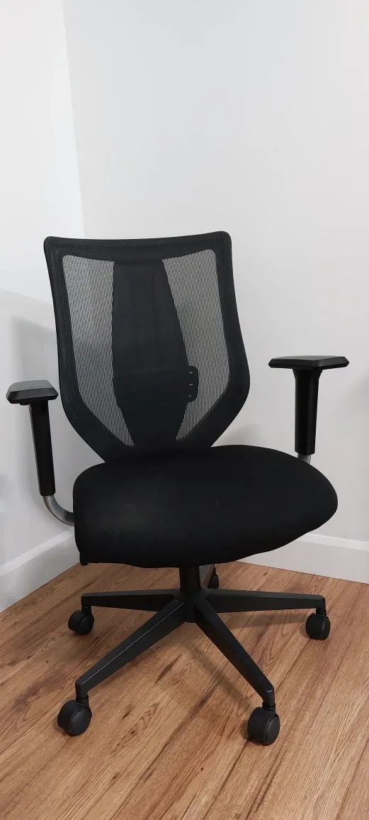 Office Chair with Adjustable Arms