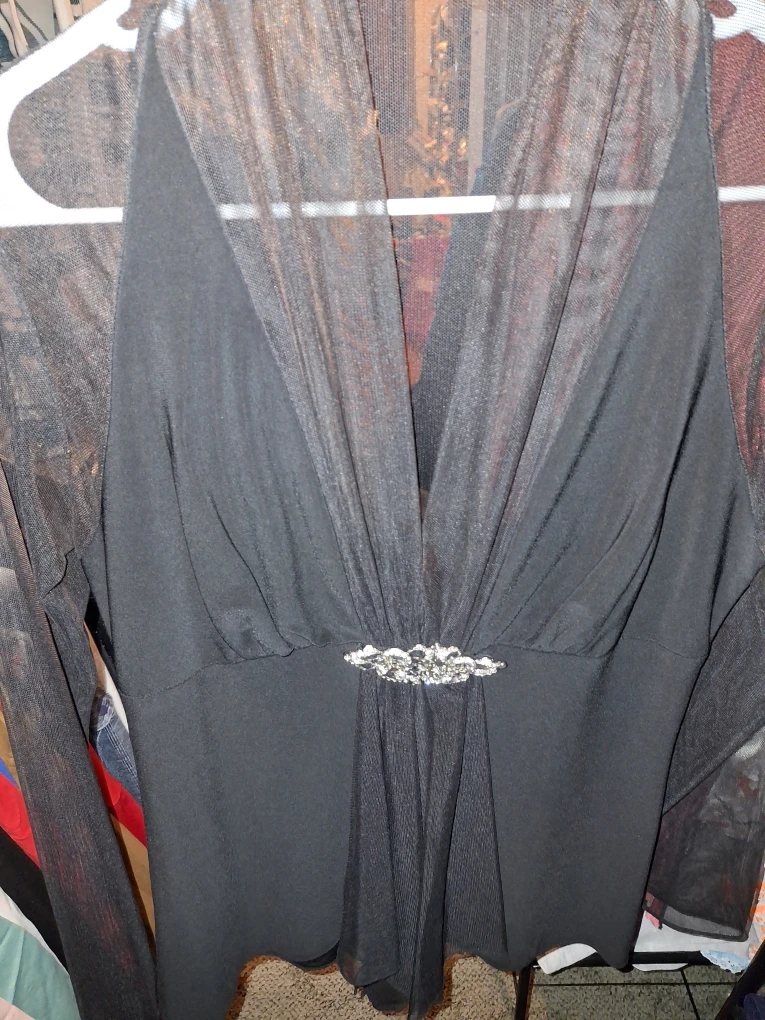 Black Dress with Sheer Sleeves